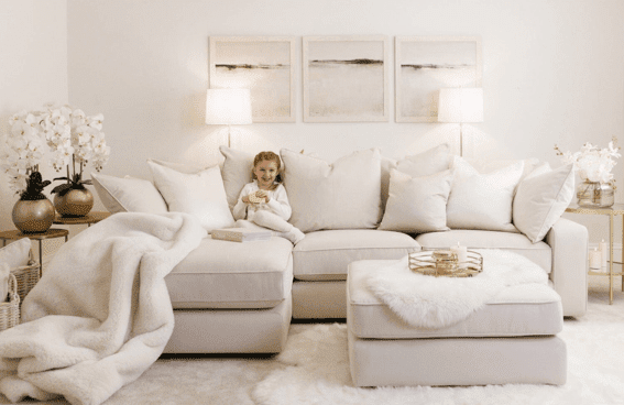 Velvet Sofas Rowen Homes