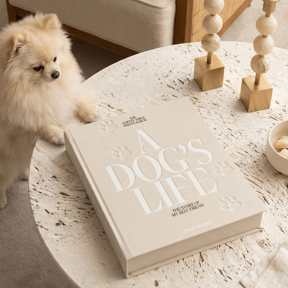 'A Dog's Life' Decorative Photo Album Accessories