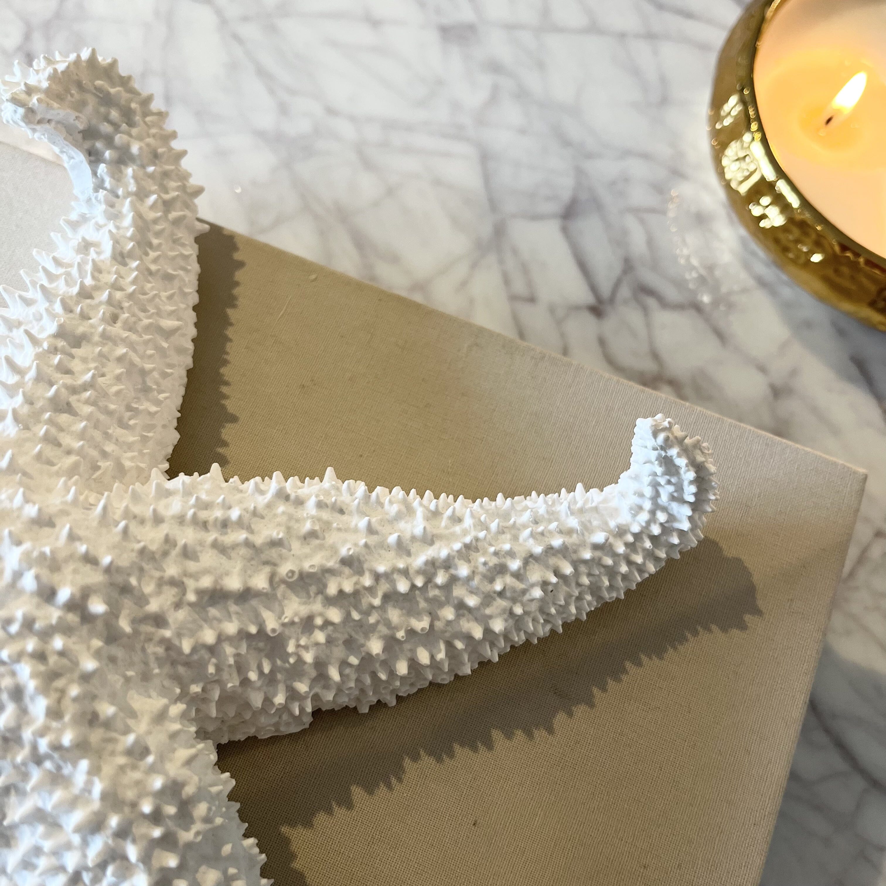 Ada White Textured Decorative Starfish Ornament Accessories
