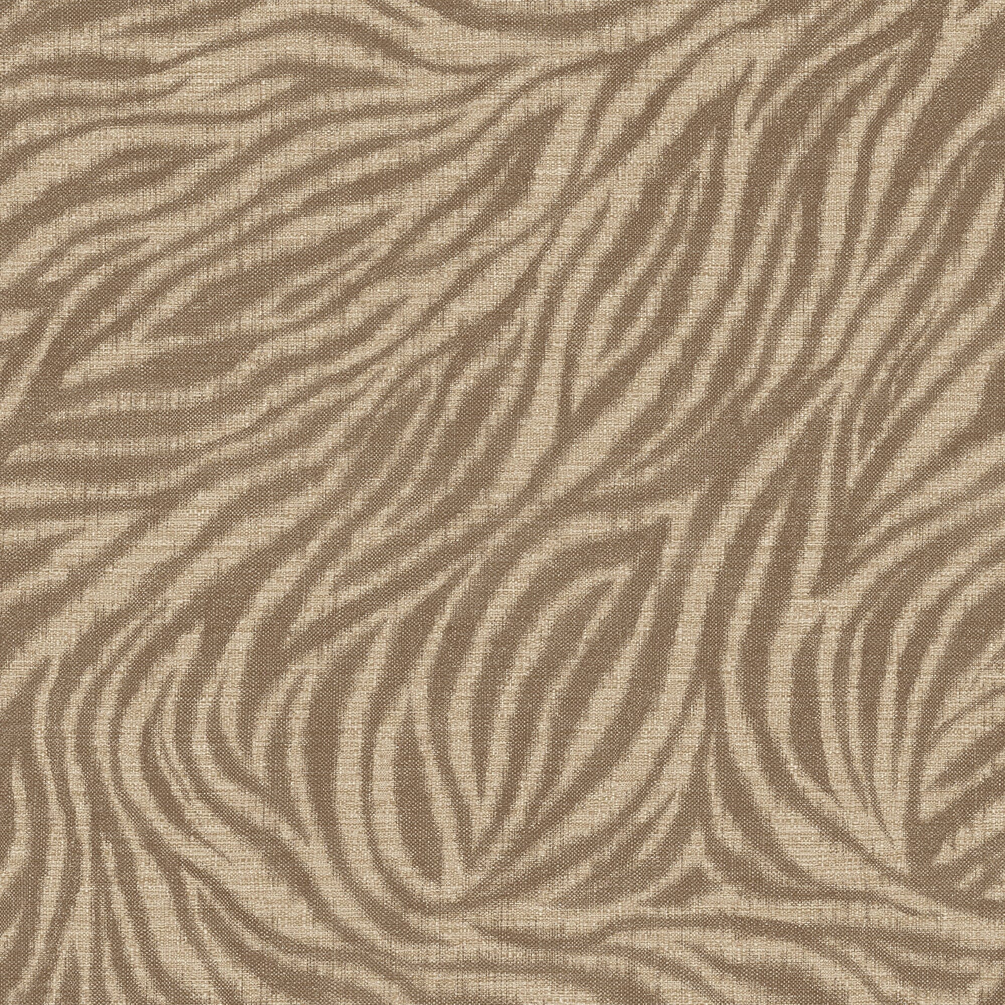 Bara Brown Zebra Print Wallpaper Home Improvement