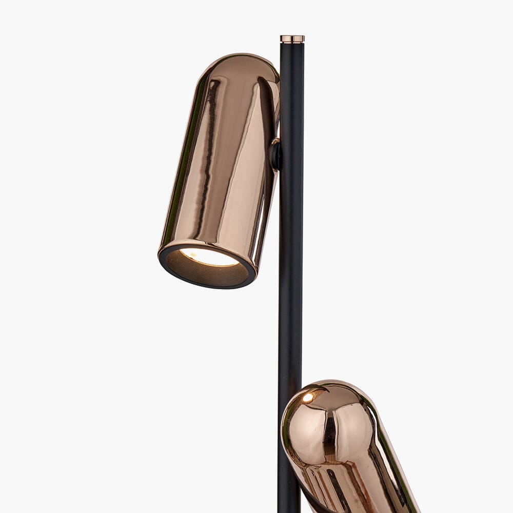 Carrara Black & Rose Gold LED Floor Lamp Lighting
