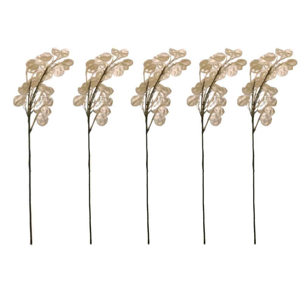 Champagne Faux Honesty Single Stem - Set of 5