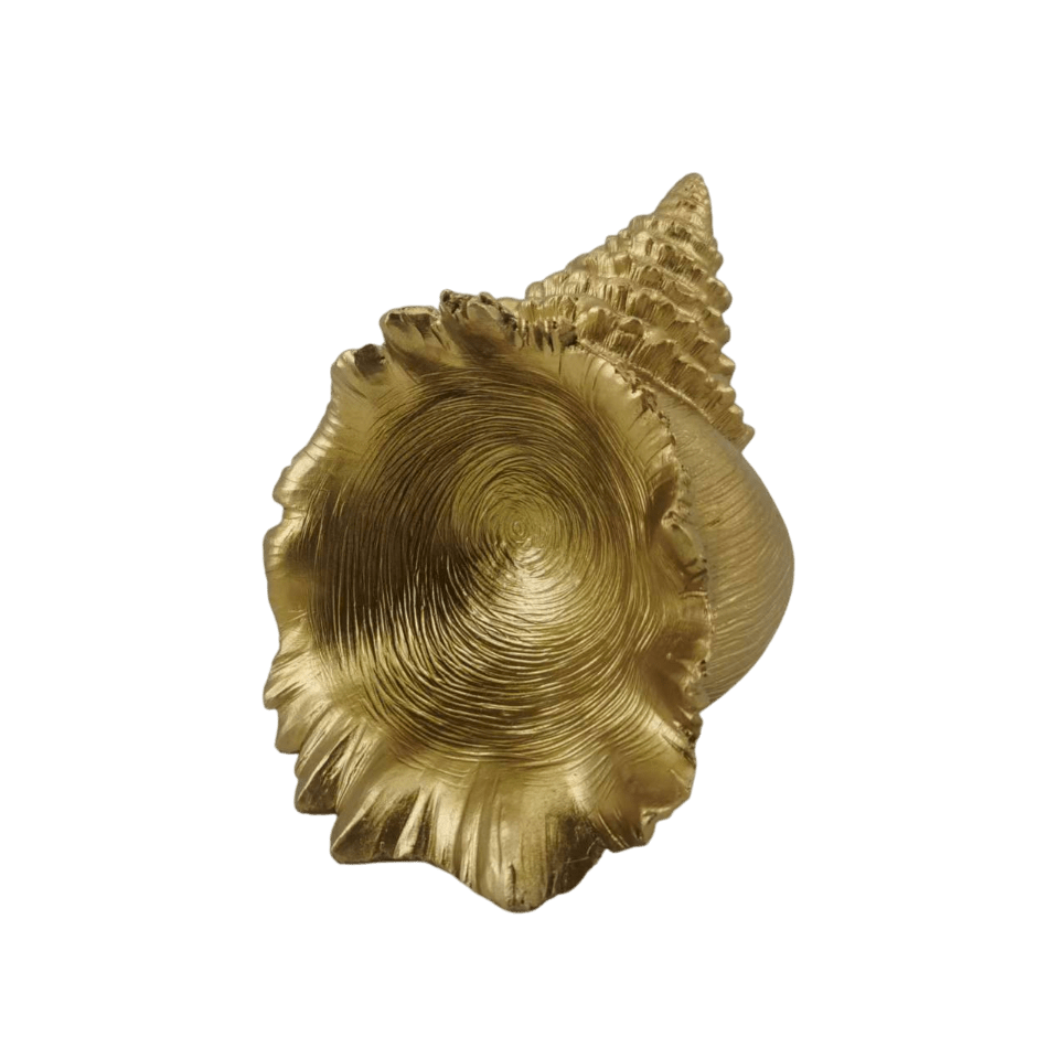 Decorative Gold Conch Shell Ornament Accessories