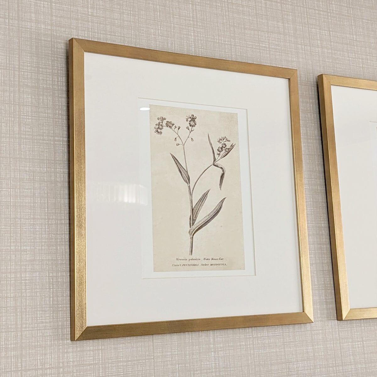 Diana Gold Framed Neutral Flower Wall Art - I Accessories