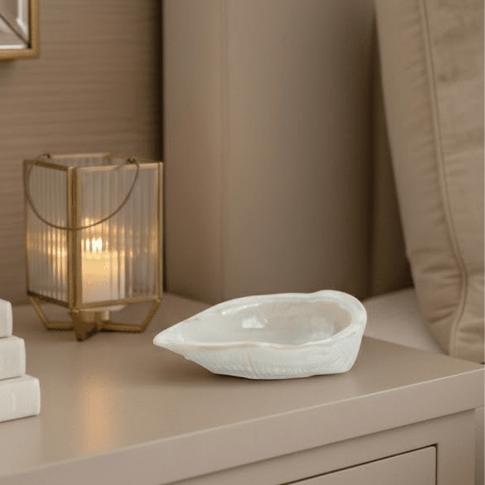 Diletta Cream Pearlescent Shell Trinket Dish Accessories