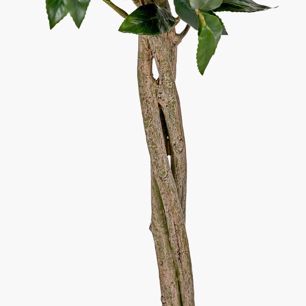 Faux Potted Bay Tree Accessories