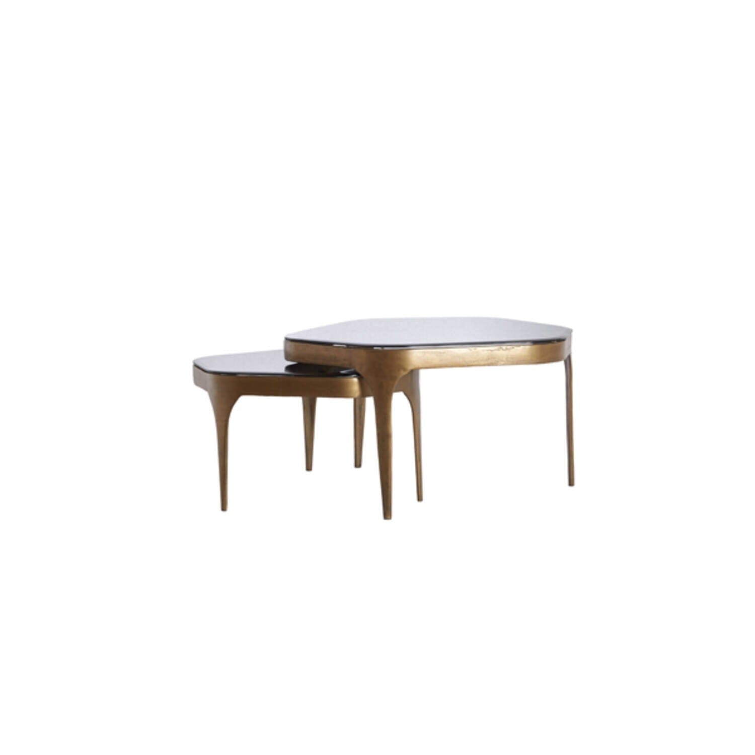 Jenny Antique Bronze & Smoked Glass Nested Coffee Tables - Set of 2 Furniture