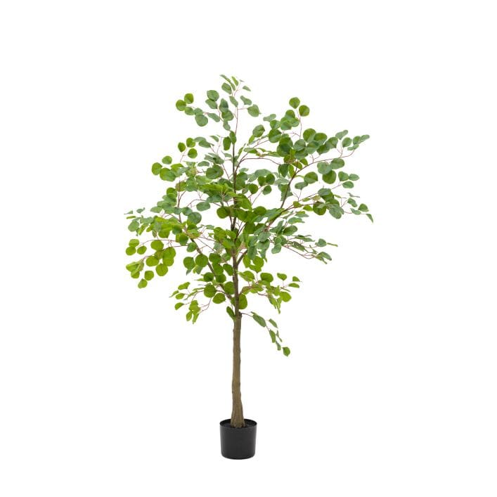 Large Potted Faux Eucalyptus Tree Accessories