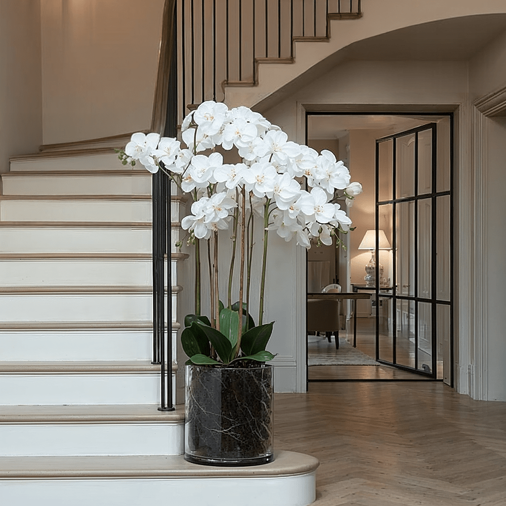 Large White Orchid in Glass Pot Accessories