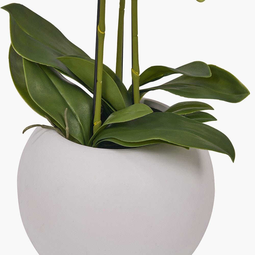 Medium White Faux Potted Orchid Decorative Floral Accessories