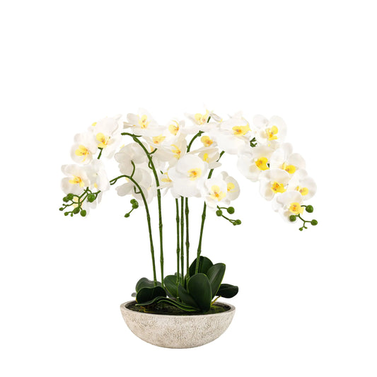 Oversized Faux Orchid in White Cement Effect Pot Accessories