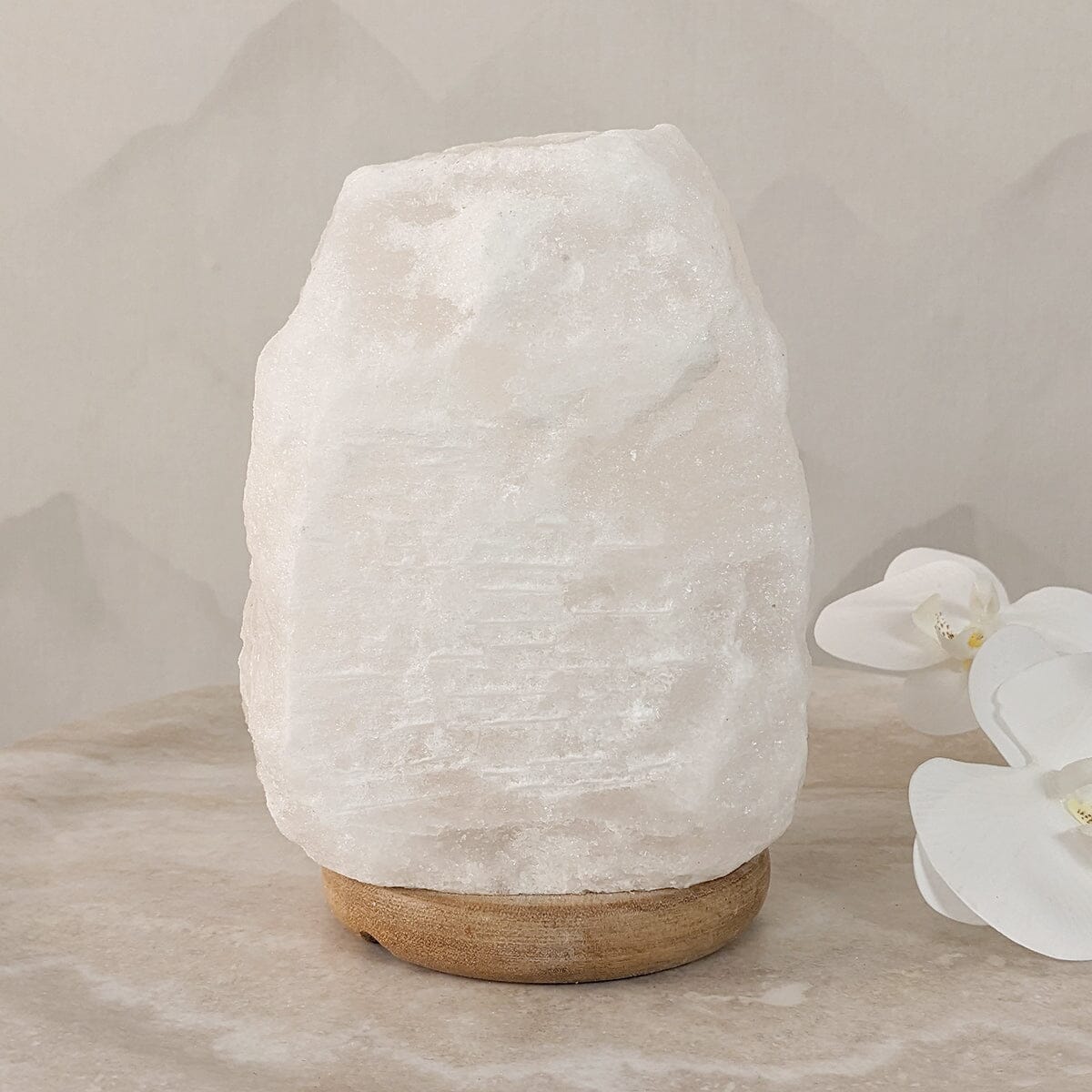 Revive White Natural Salt Lamp on Wooden Base Lighting