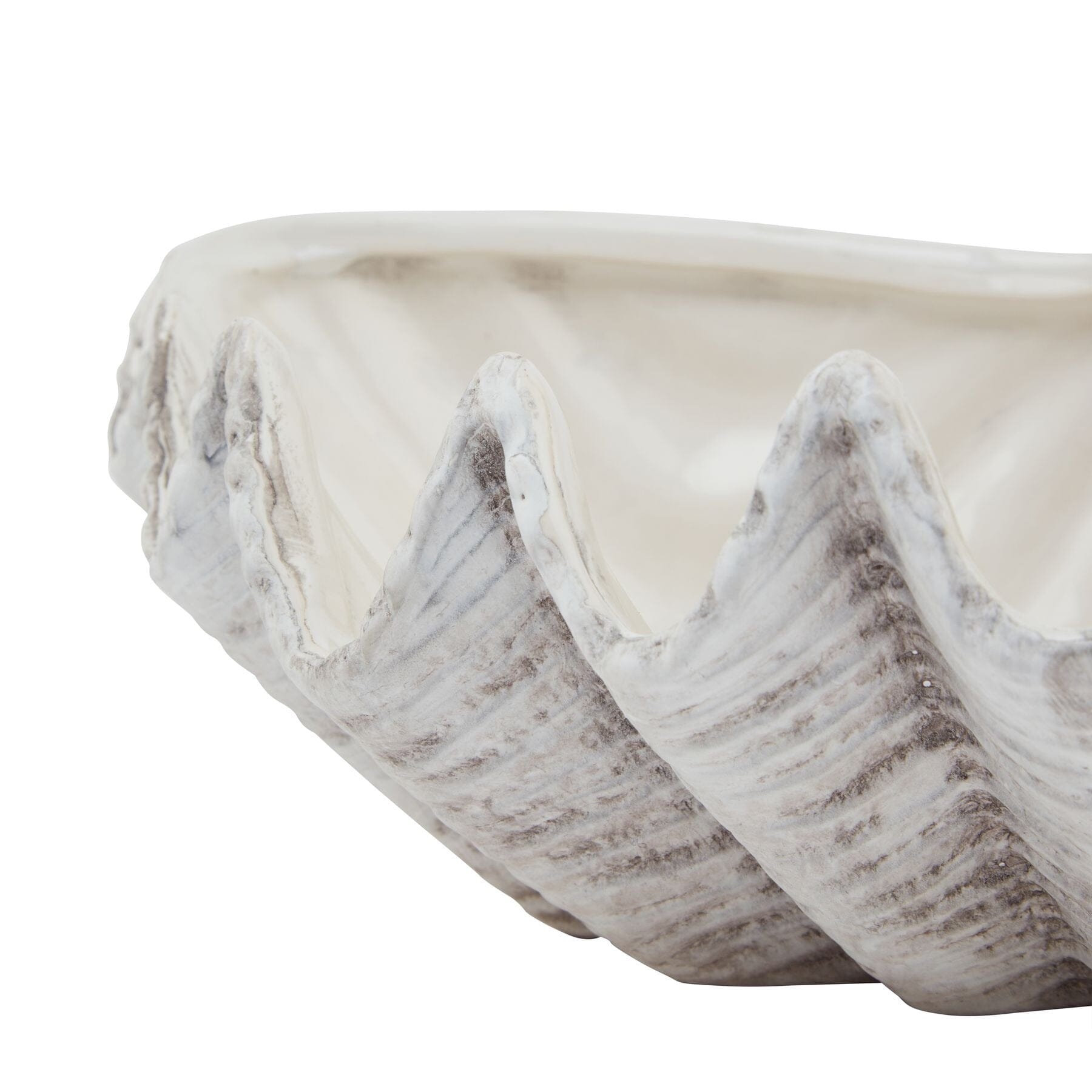 Solana Decorative Ceramic Shell Bowl Accessories