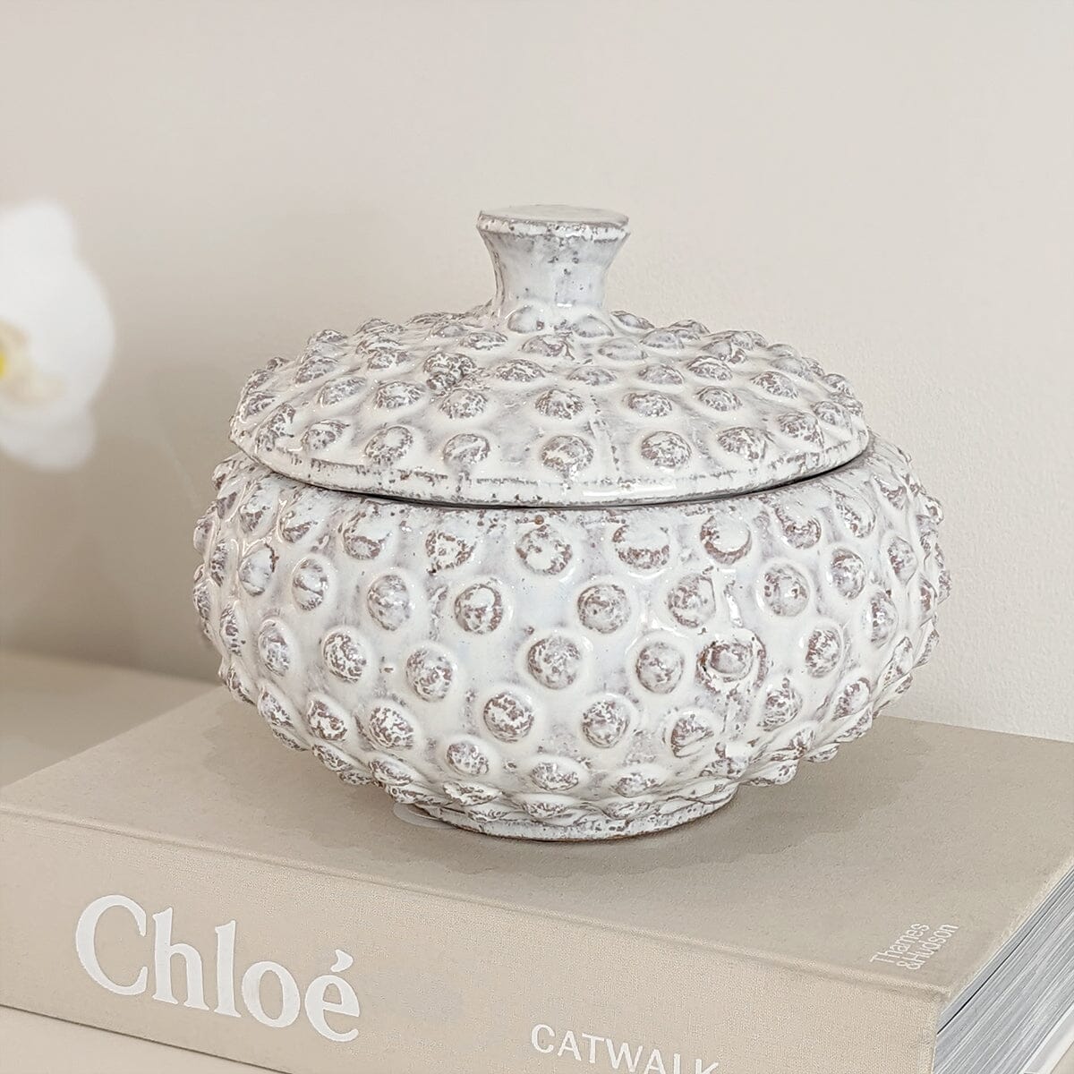 Sylvie White Bobbled Distressed Decorative Jar Accessories