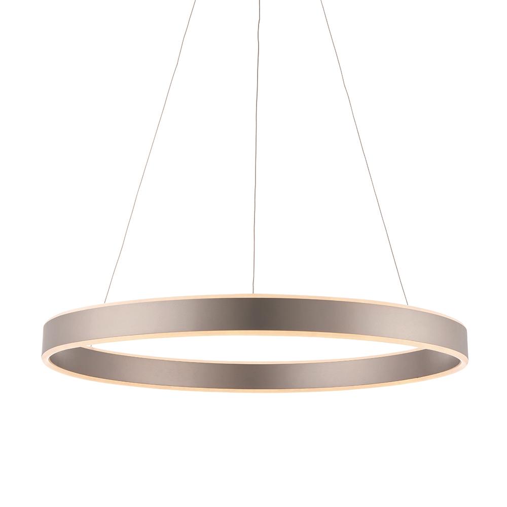 Aureola Matt Nickel Halo Ceiling Light Lighting