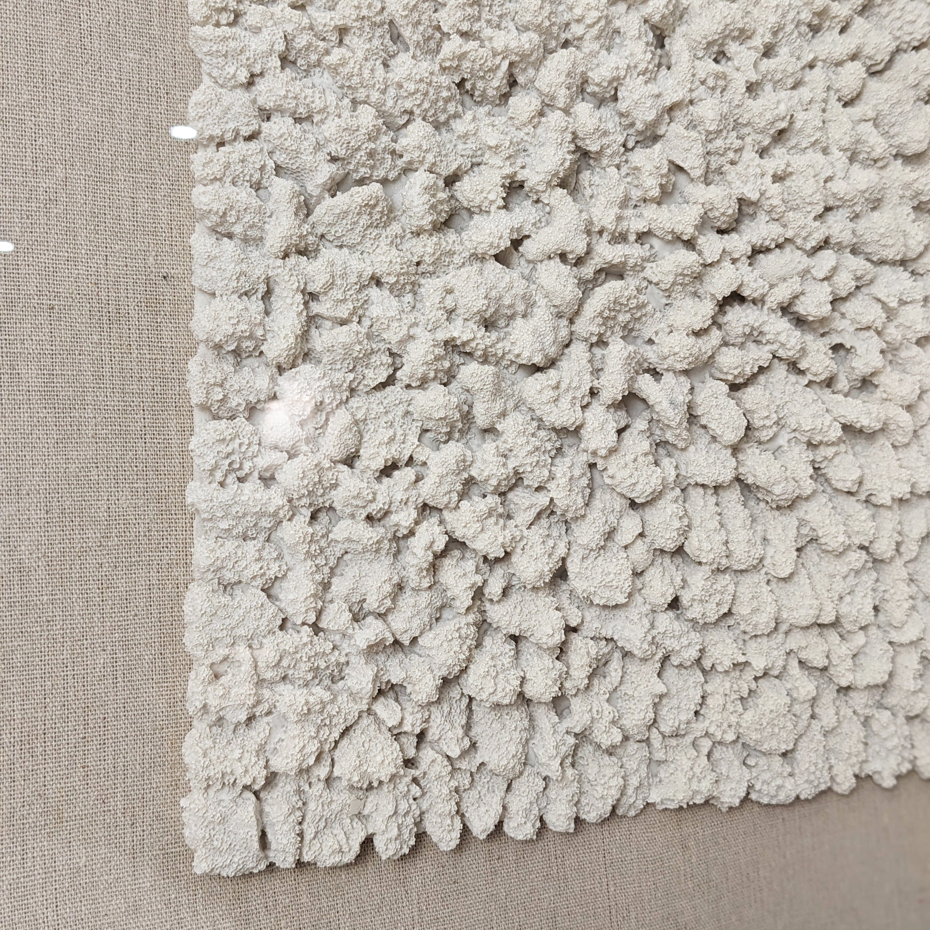 Idyllic Neutral Coral Boxed Wall Art - 60x60cm Accessories