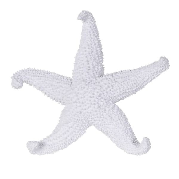 Ada White Textured Decorative Starfish Ornament Accessories 