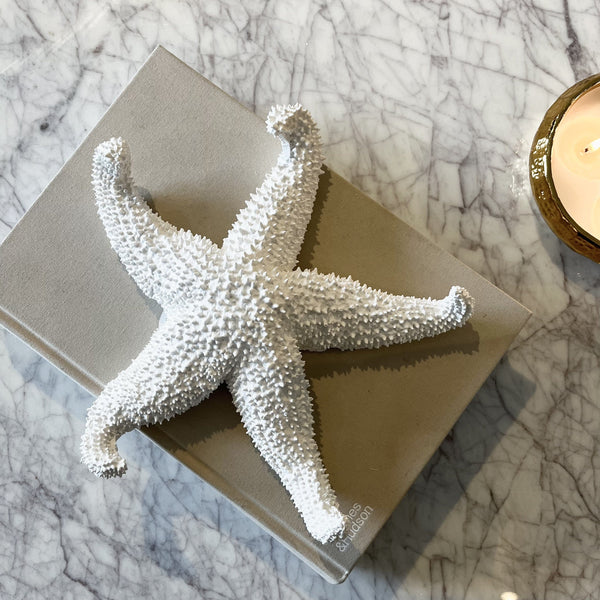 Ada White Textured Decorative Starfish Ornament Accessories 