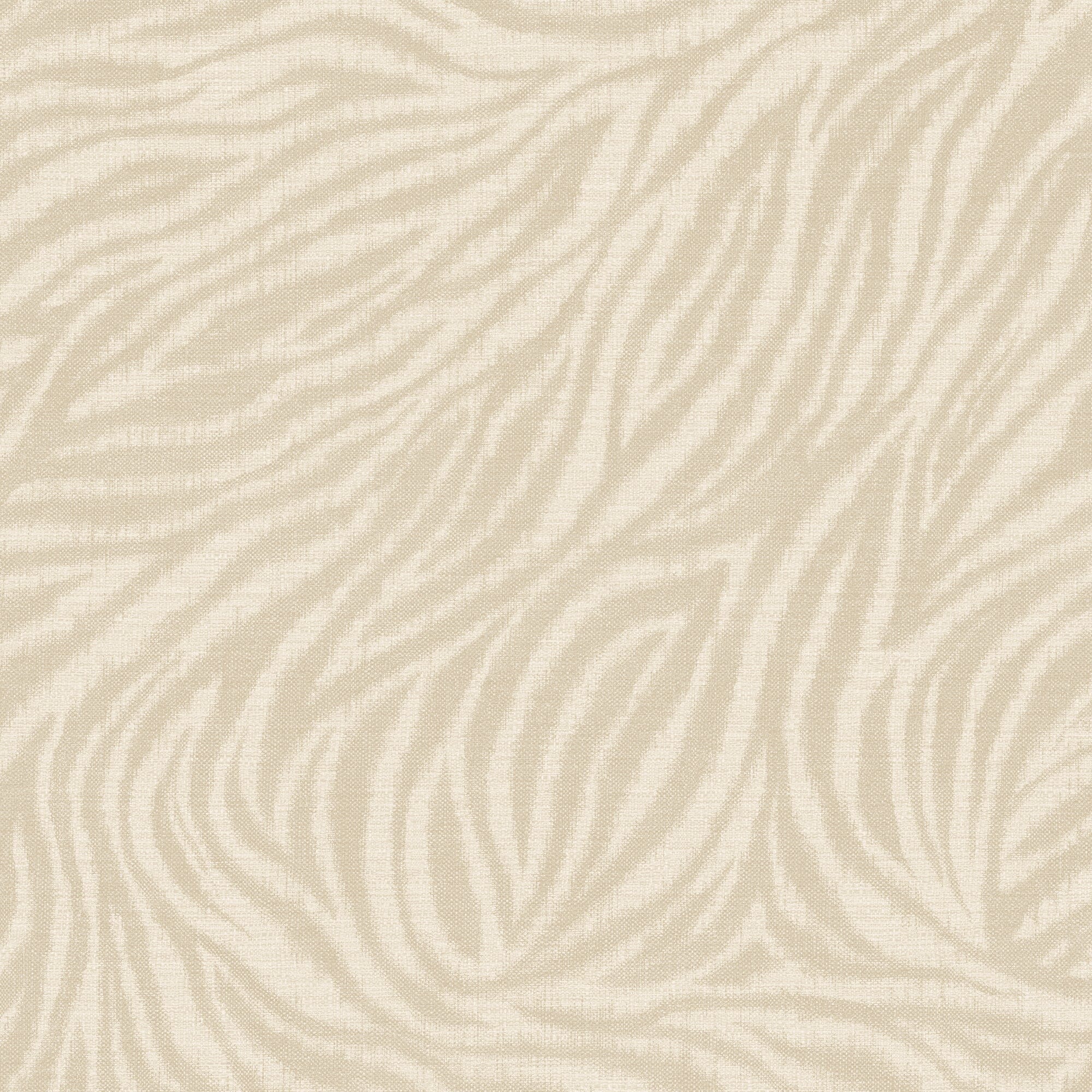 Bara Neutral Zebra Print Wallpaper Home Improvement 