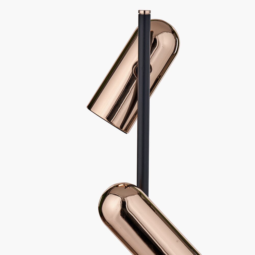Carrara Black & Rose Gold LED Floor Lamp Lighting 