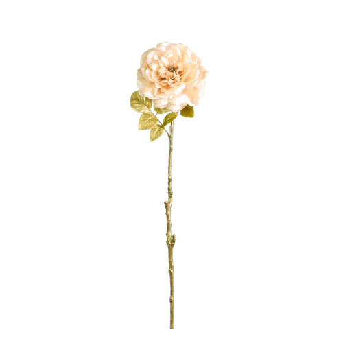Champagne Festive Glitter Peony Single Stem Accessories 