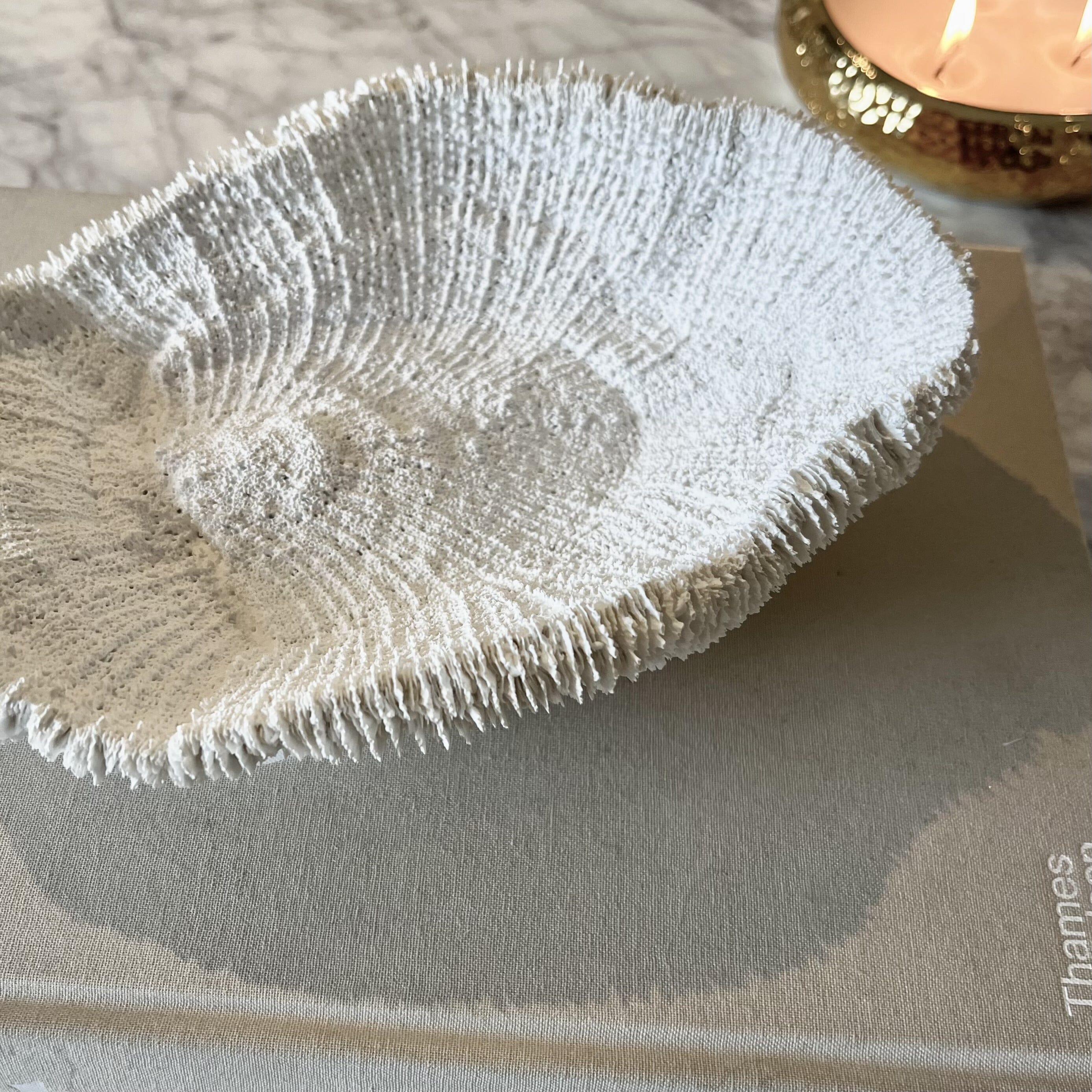 Darcey White Faux Coral Textured Decorative Dish Accessories 