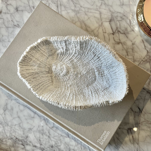 Darcey White Faux Coral Textured Decorative Dish Accessories 
