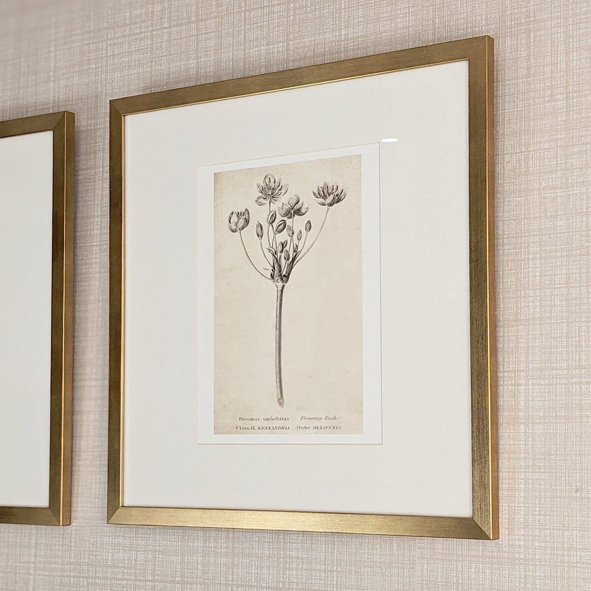 Diana Gold Framed Neutral Flower Wall Art - II Accessories 