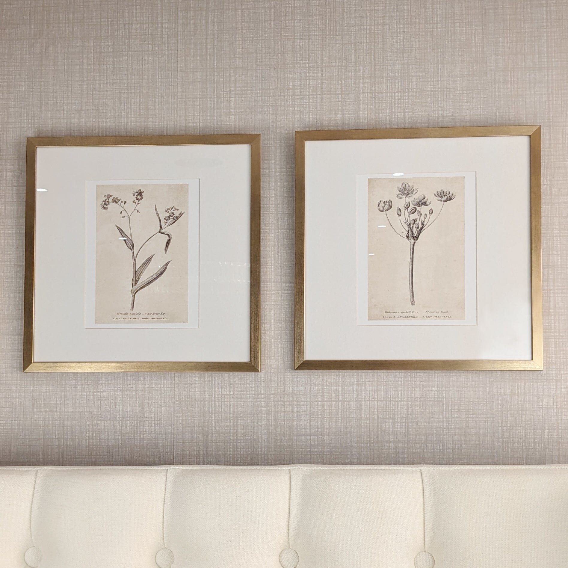 Diana Gold Framed Neutral Flower Wall Art - II Accessories 