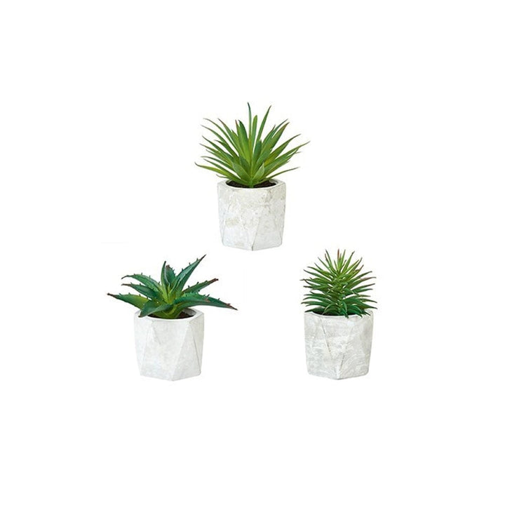 Faux Green Succulent in Ceramic Pot - Set of 3 Accessories 