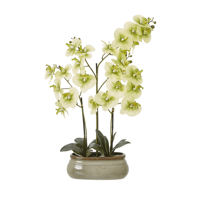 Faux Large Green Orchid in Ceramic Pot Accessories 