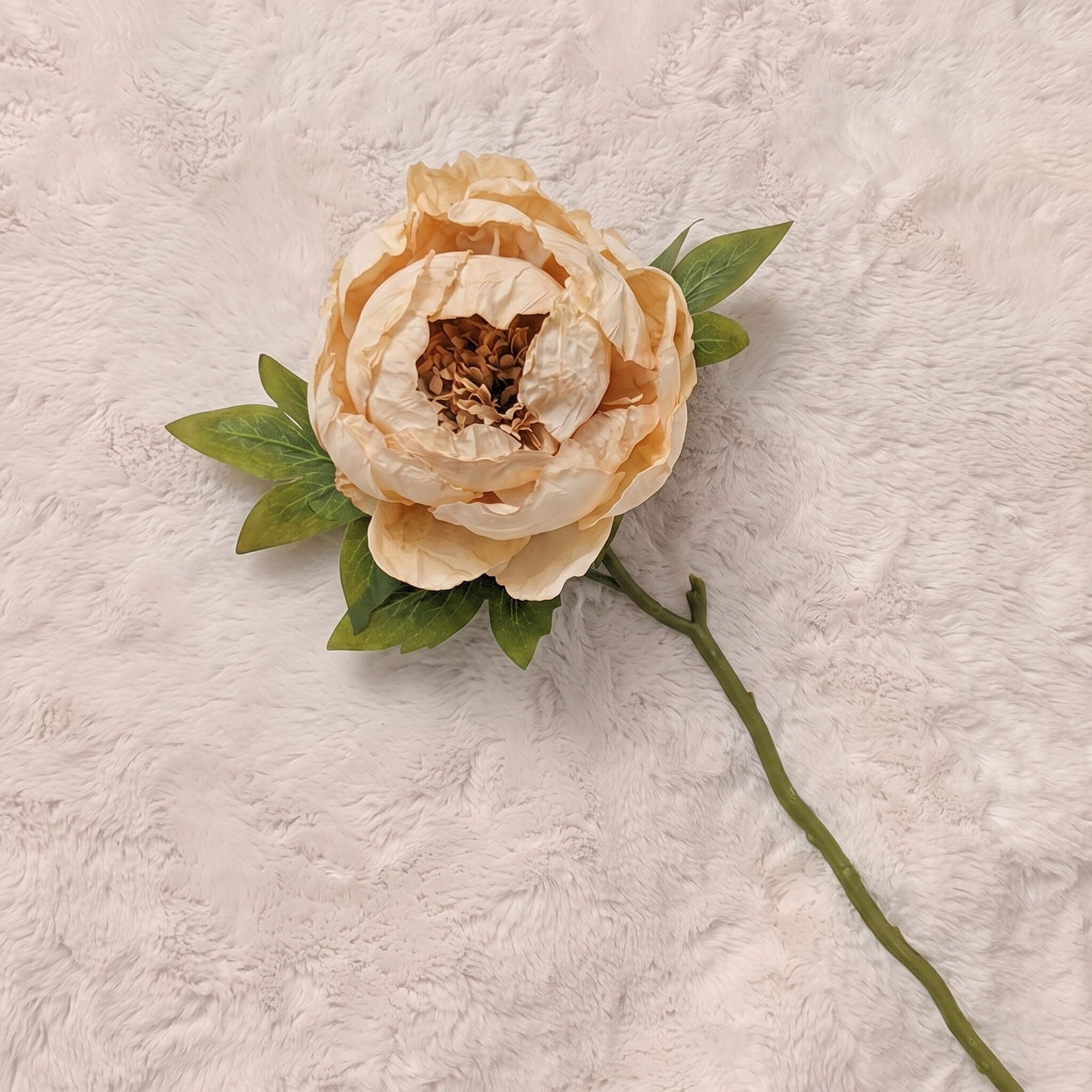 Faux Oyster Dried Touch Closed Peony Single Stem Floral Accessories 