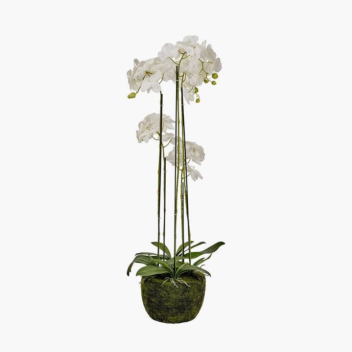 Faux Tall White Orchid in Moss Pot Accessories 