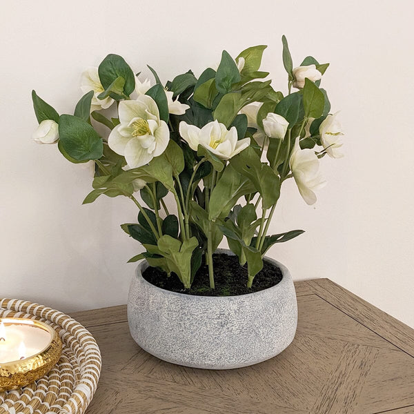 Faux White Hellebore Plant in Stone Pot Accessories 