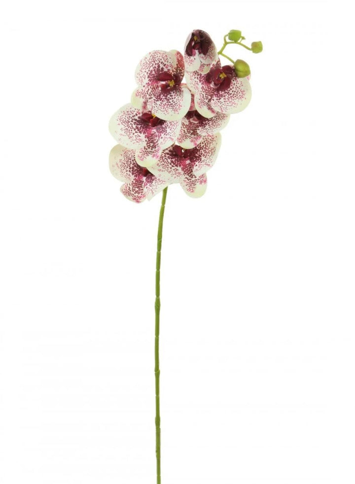 Faux White & Plum Orchid Single Stem Floral Accessories 