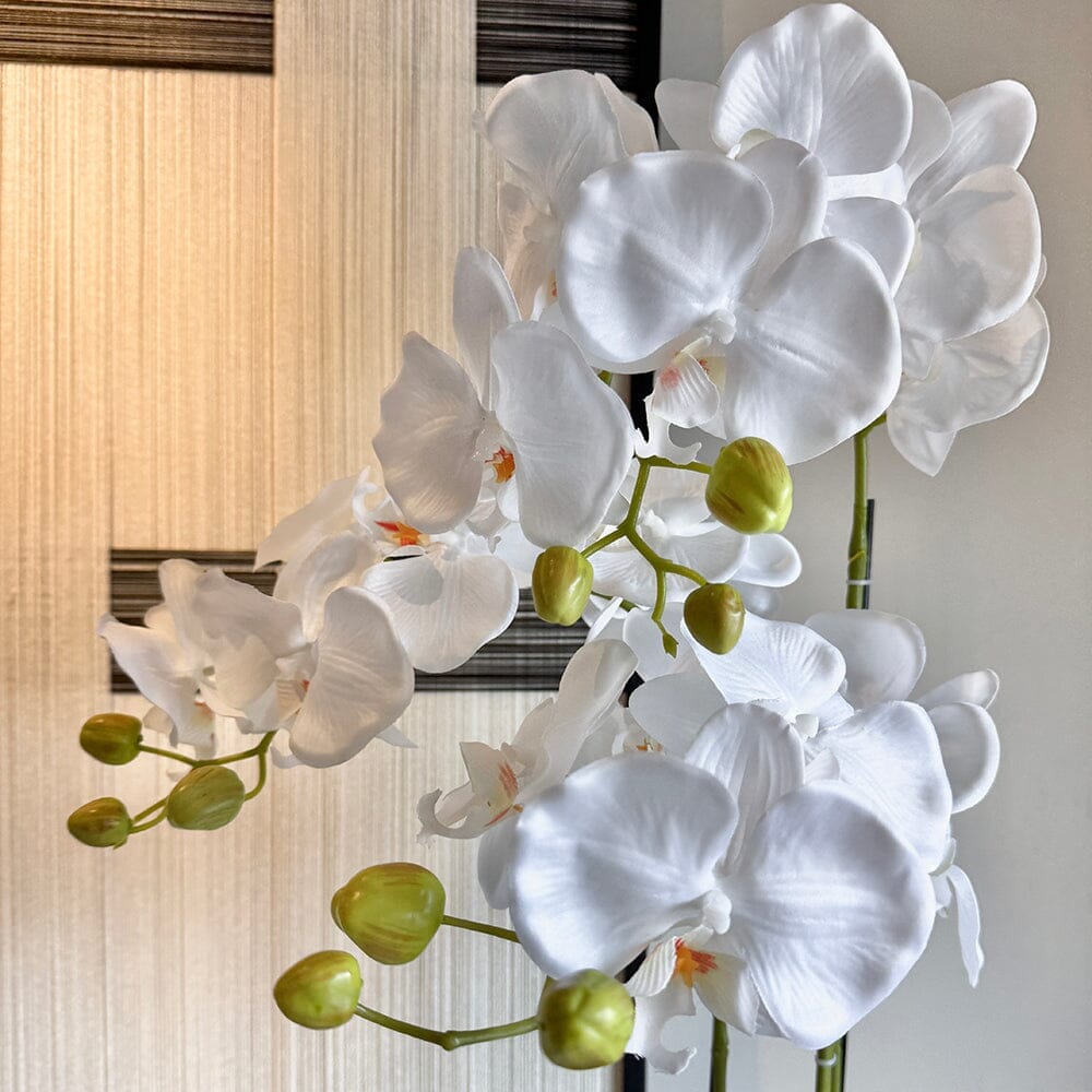 In Stock - Faux White Orchid in Moss Pot 