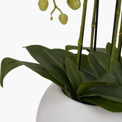 In Stock Floor Standing White Faux Potted Orchid Decorative Floral Accessories 