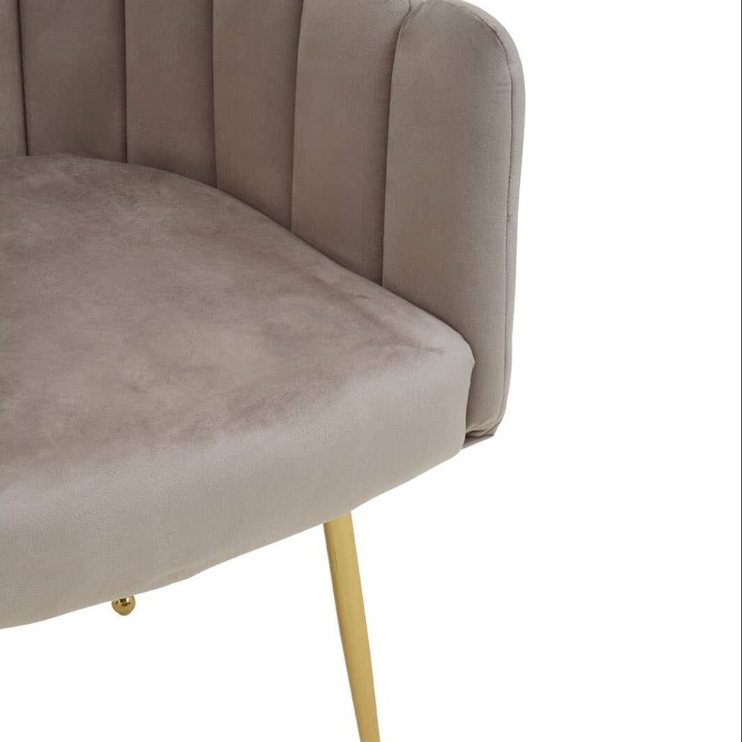In Stock - Kelcie Beige Velvet Scalloped Dining Chair with Gold Legs Furniture 