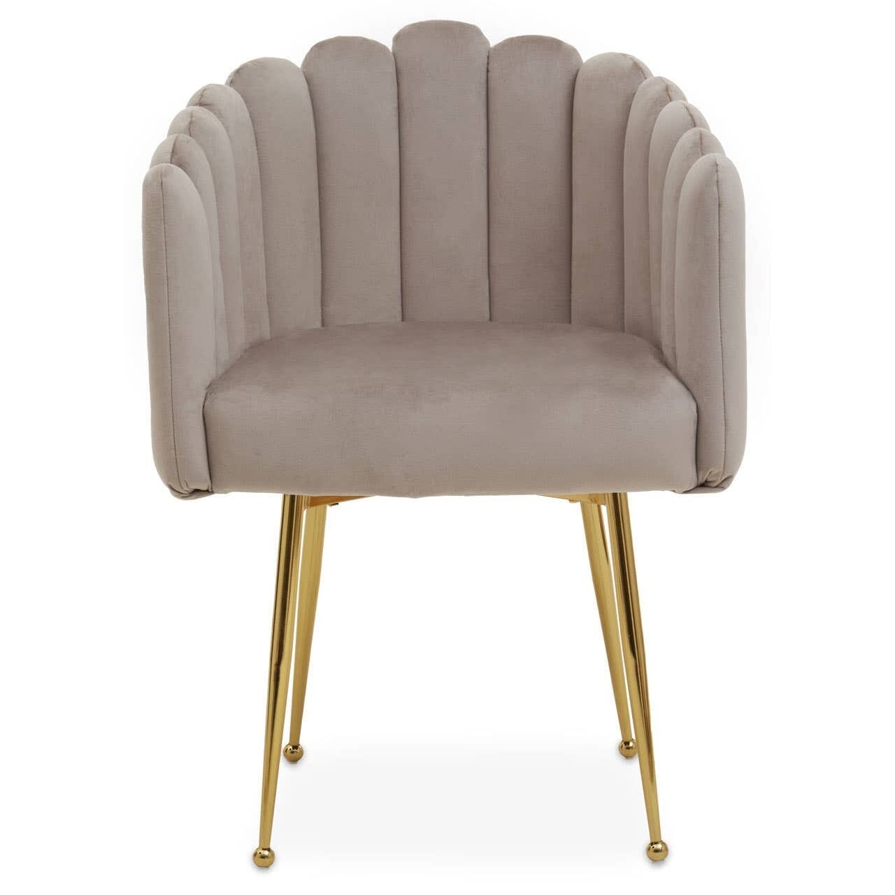 In Stock - Kelcie Beige Velvet Scalloped Dining Chair with Gold Legs Furniture 