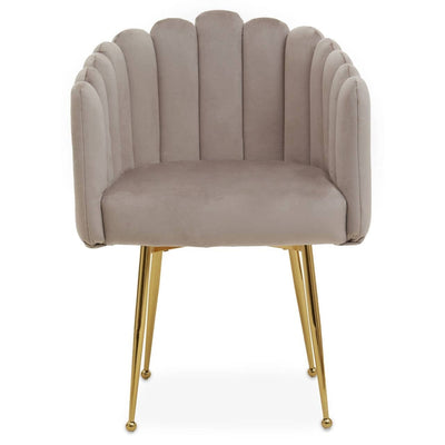 In Stock - Kelcie Beige Velvet Scalloped Dining Chair with Gold Legs Furniture 