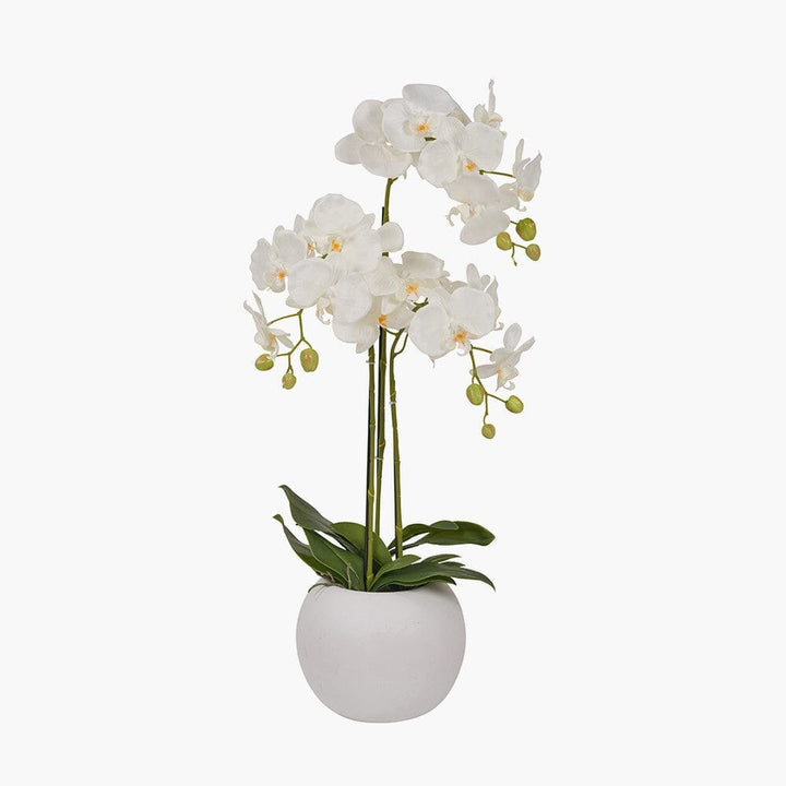 In Stock - Medium White Faux Potted Orchid Decorative Floral 
