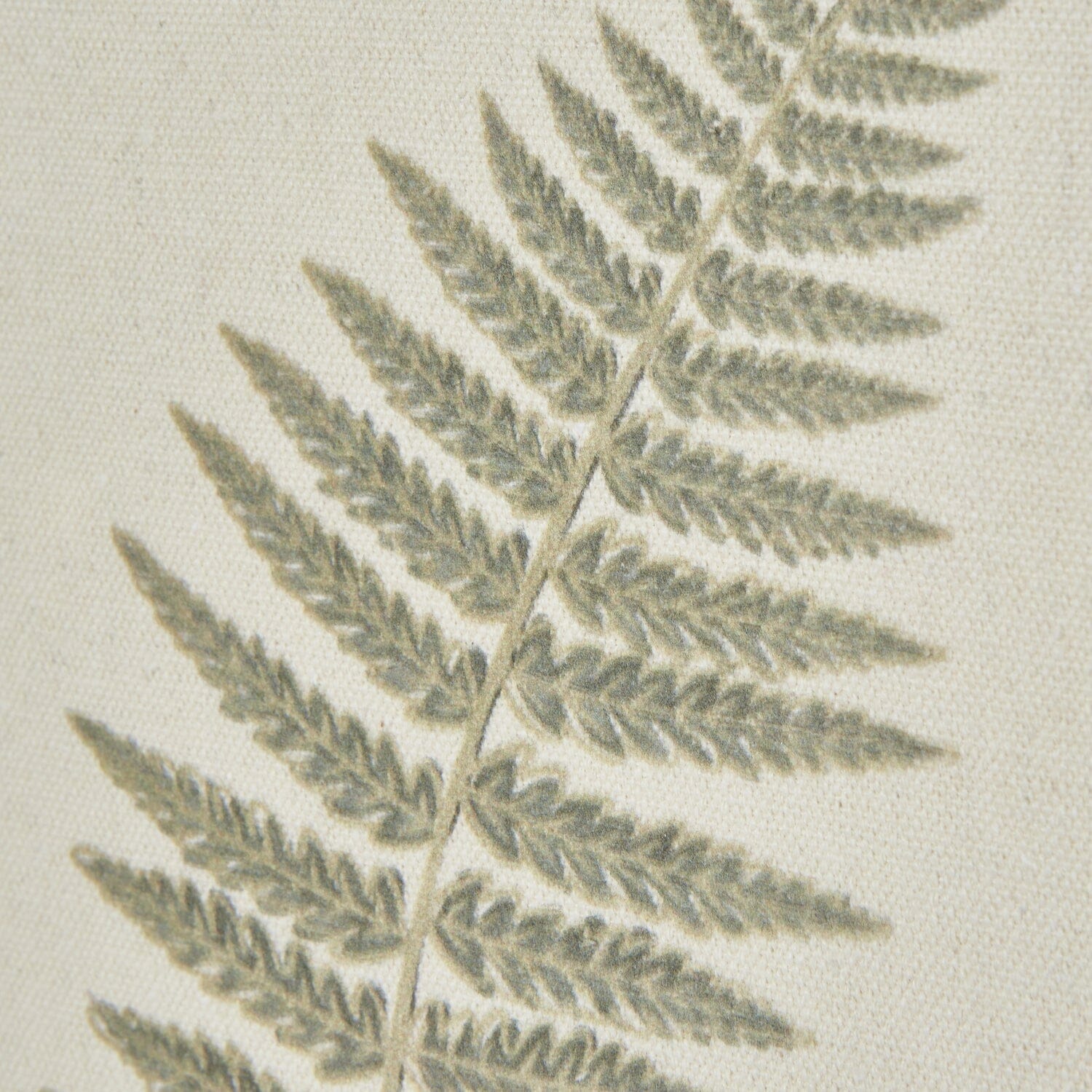 In Stock - Nia Sage Green Fern Leaf Print Framed Wall Art 