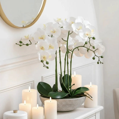 In Stock - Oversized Faux Orchid in White Cement Effect Pot Accessories 