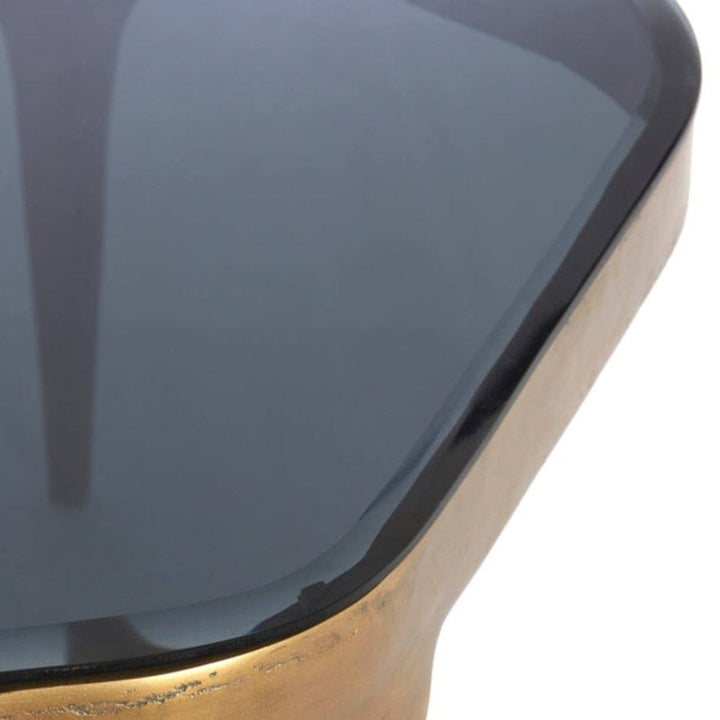 Jenny Antique Bronze & Smoked Glass Nested Coffee Tables - Set of 2 Furniture 