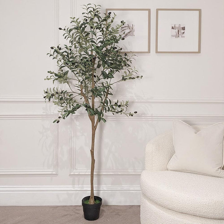 Large Faux Potted Olive Tree Accessories 