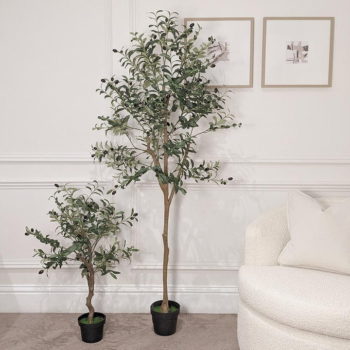 Medium Faux Potted Olive Tree Accessories 