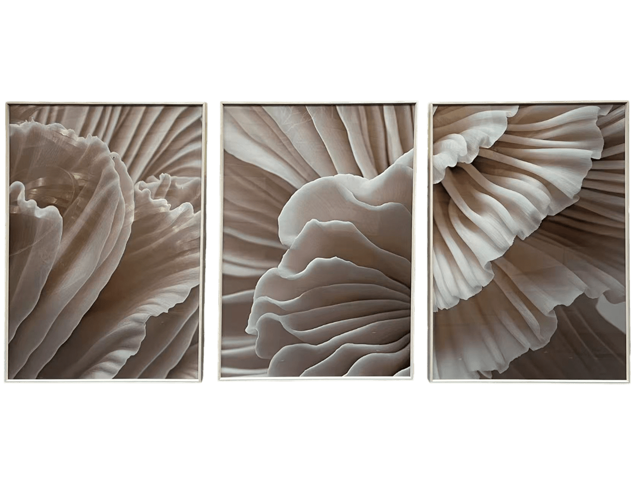 Pistoria Neutral Petal Framed Wall Art - Set of 3 Accessories 