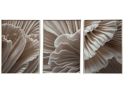 Pistoria Neutral Petal Framed Wall Art - Set of 3 Accessories 