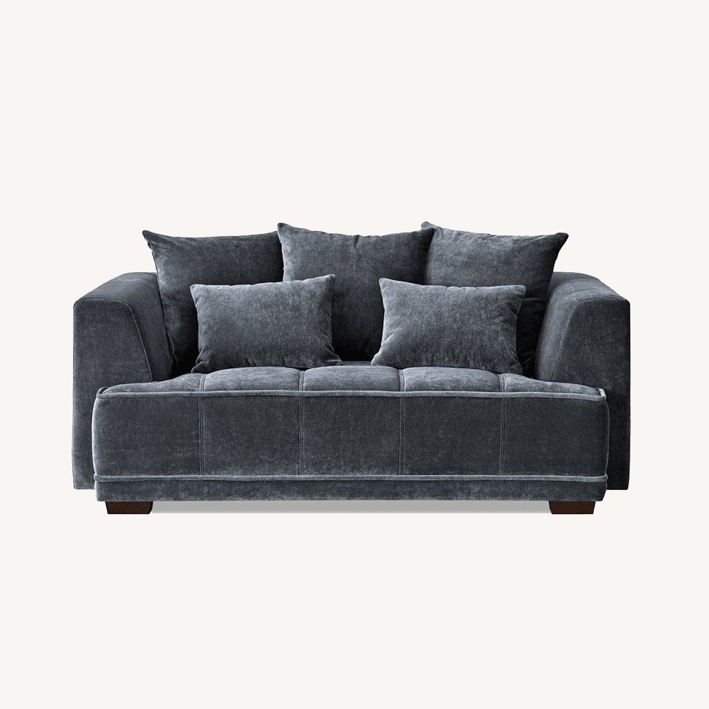 Sofia Steel Velvet Pillowback 2 Seater Sofa Sofa 