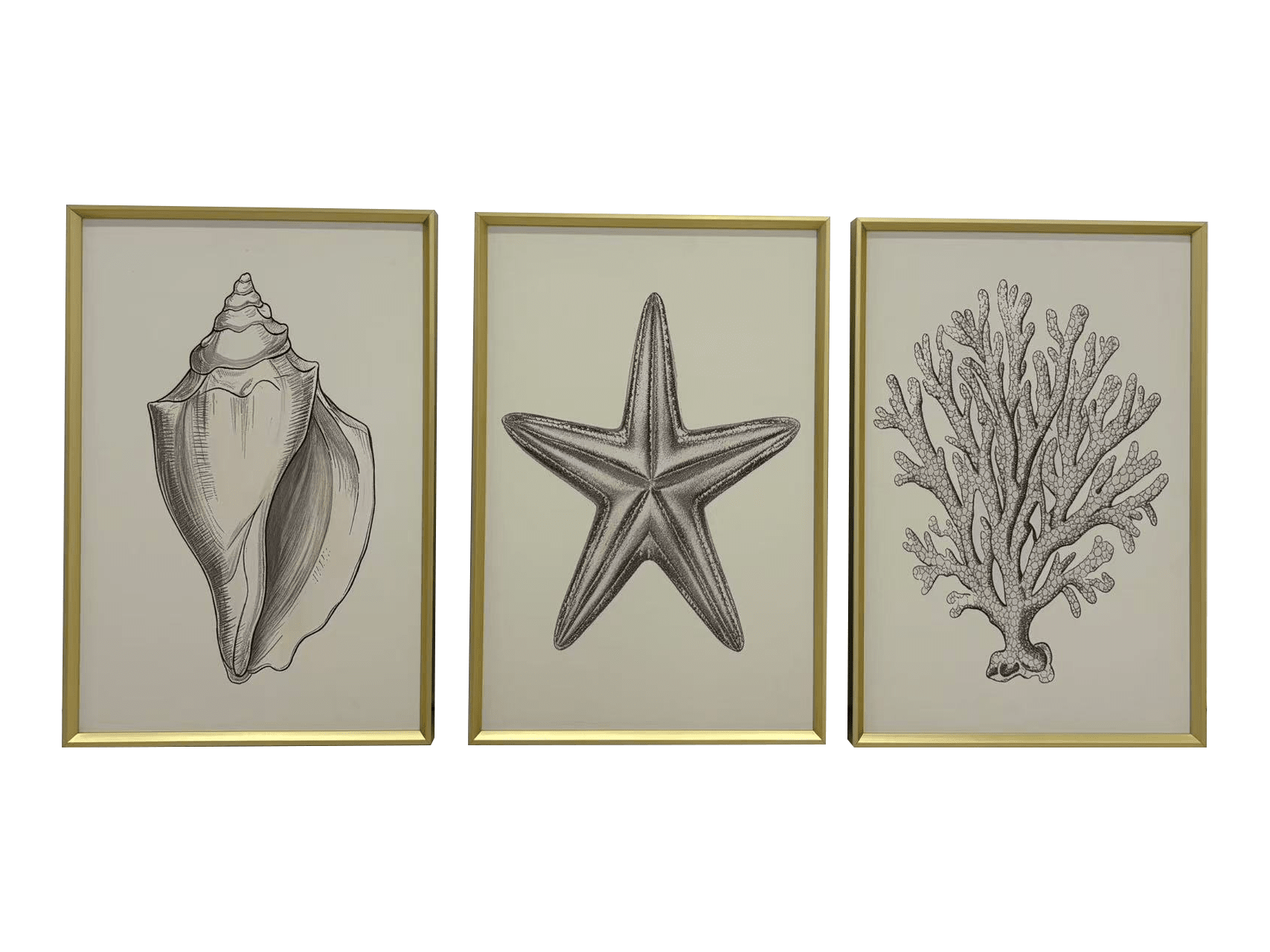 Solstice Coastal Canvas Wall Art with Gold Frame - Set of 3 Accessories 